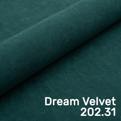 Dream Velvet 202.31